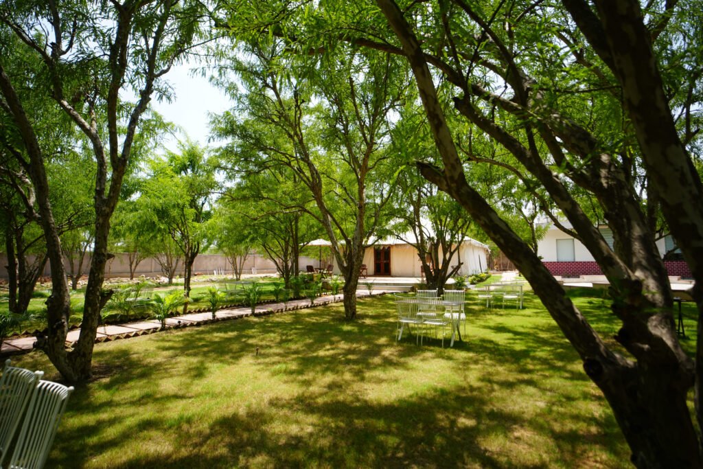 DSC08949